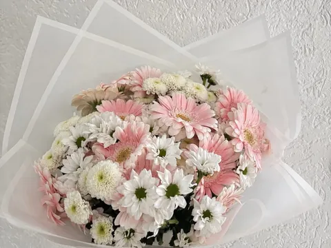 Genesung & Aufmunterung